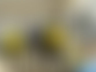 Althea Wright Homeless Shelter