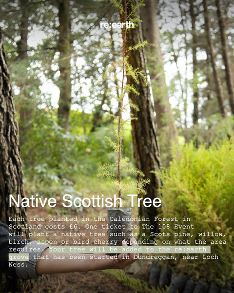 tree options.004.jpeg