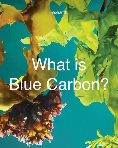 Blue Carbon