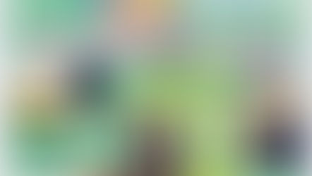 大阪海さくら🌸アマモ移植際IN高石