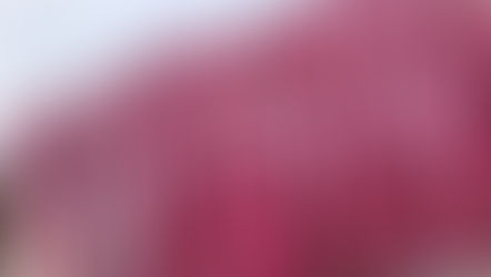 大阪海さくら🌸各種宣伝