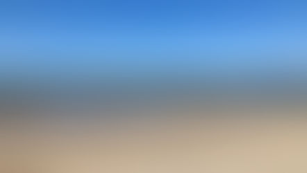 大阪海さくら🌸メルボルン