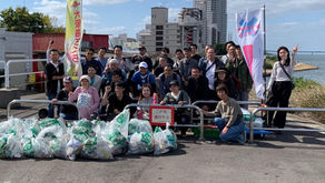 大阪海さくら🌸第154回定期清掃🌸このはな区民まつり