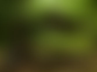 forest school shelter awning