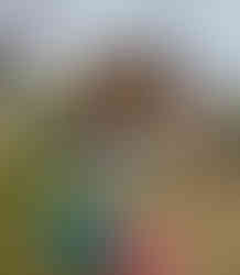 festival canvas canopy