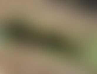 横浜市立金沢動物園に作品が常設展示されています。