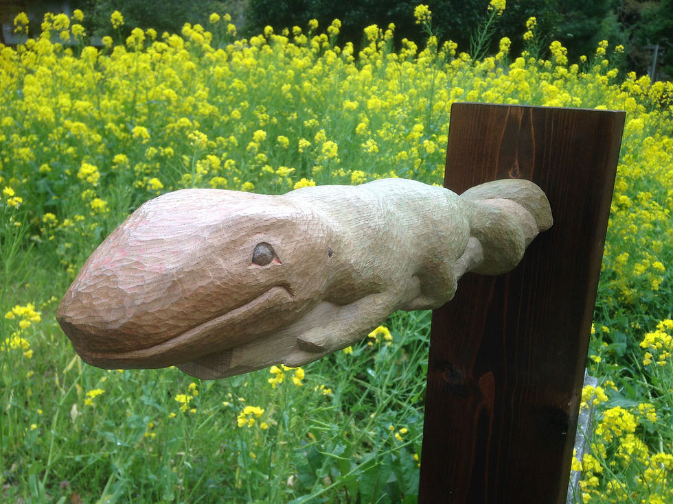 にぎにぎカイマンさん