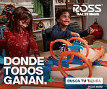 RossHoliday25_ProgrammaticDisplayBanner_Family_SPA_300x250.jpg