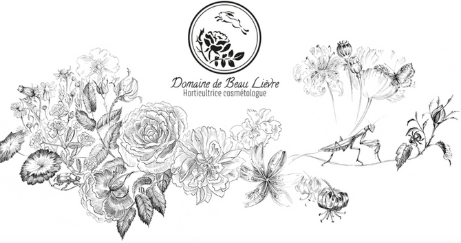 Les bienfaits de la Rose Centifolia