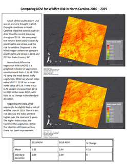 Normalized Difference Vegetation Index