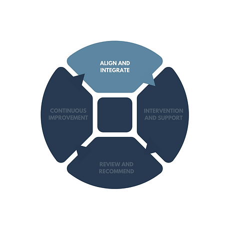 organisational maturity assessment (32).