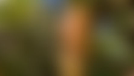 ☺🍇ひだまりの里ささが 食欲の秋🍜☺