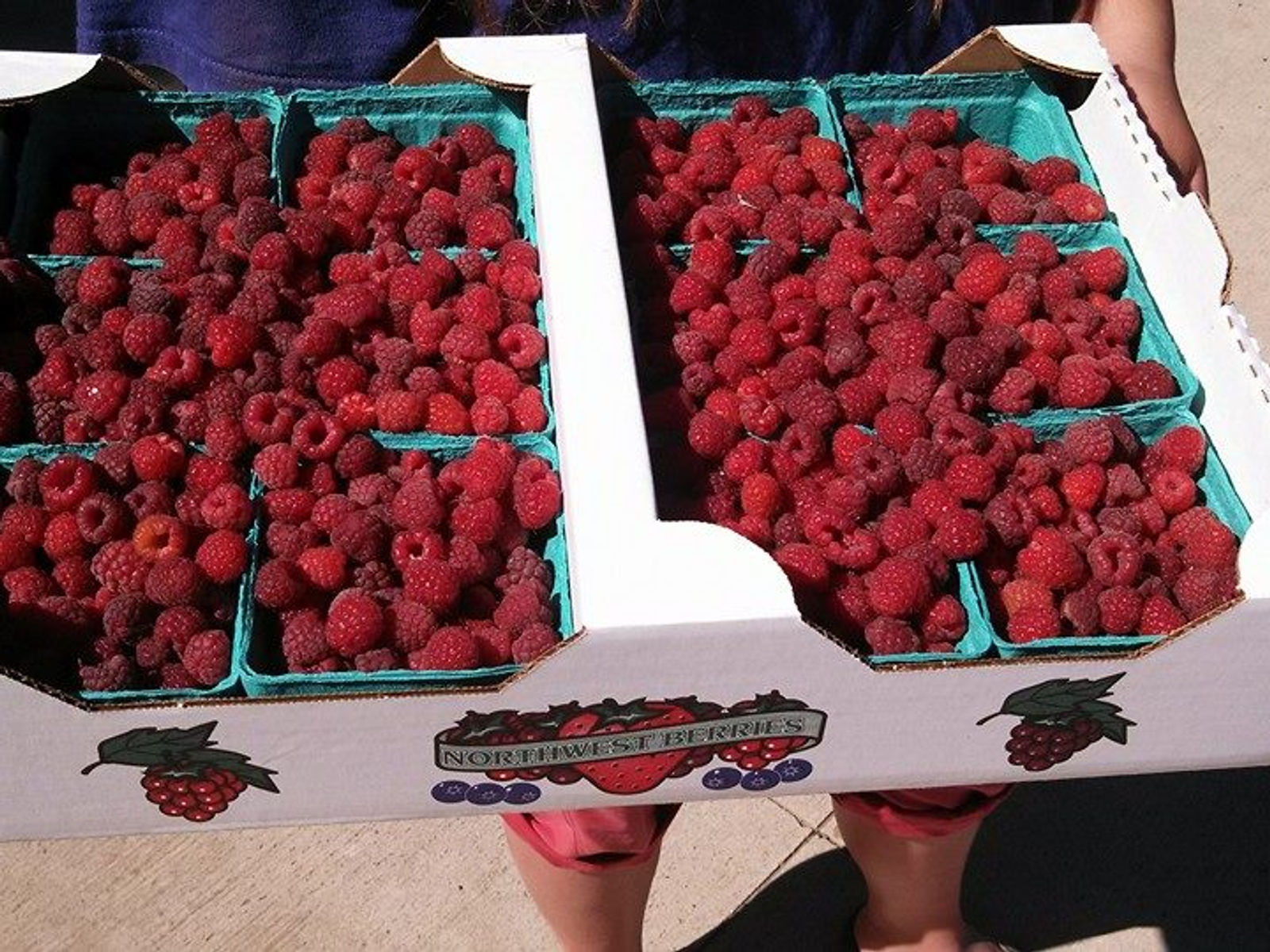 Montavon's Berries photo 24