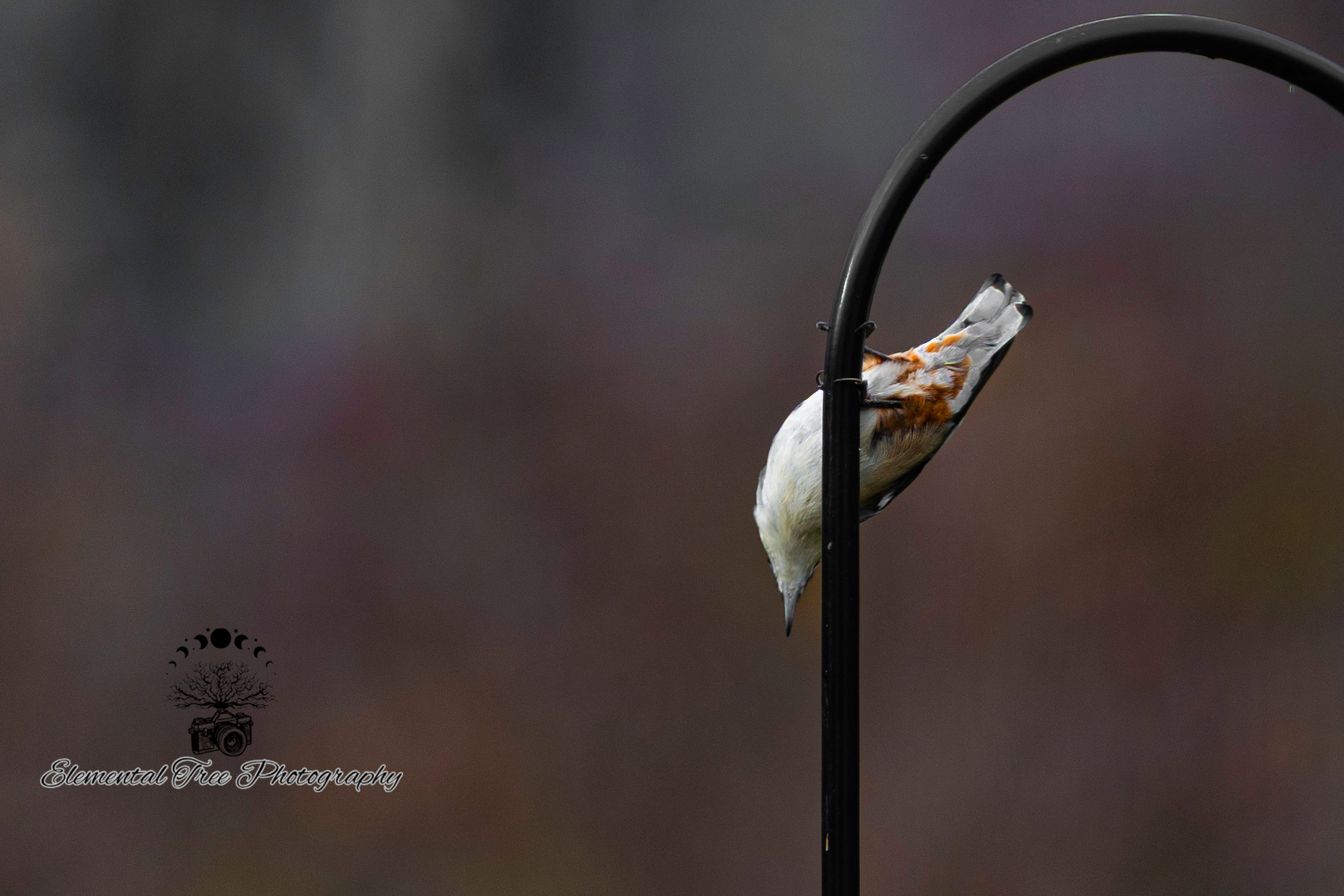 A Different Perspective