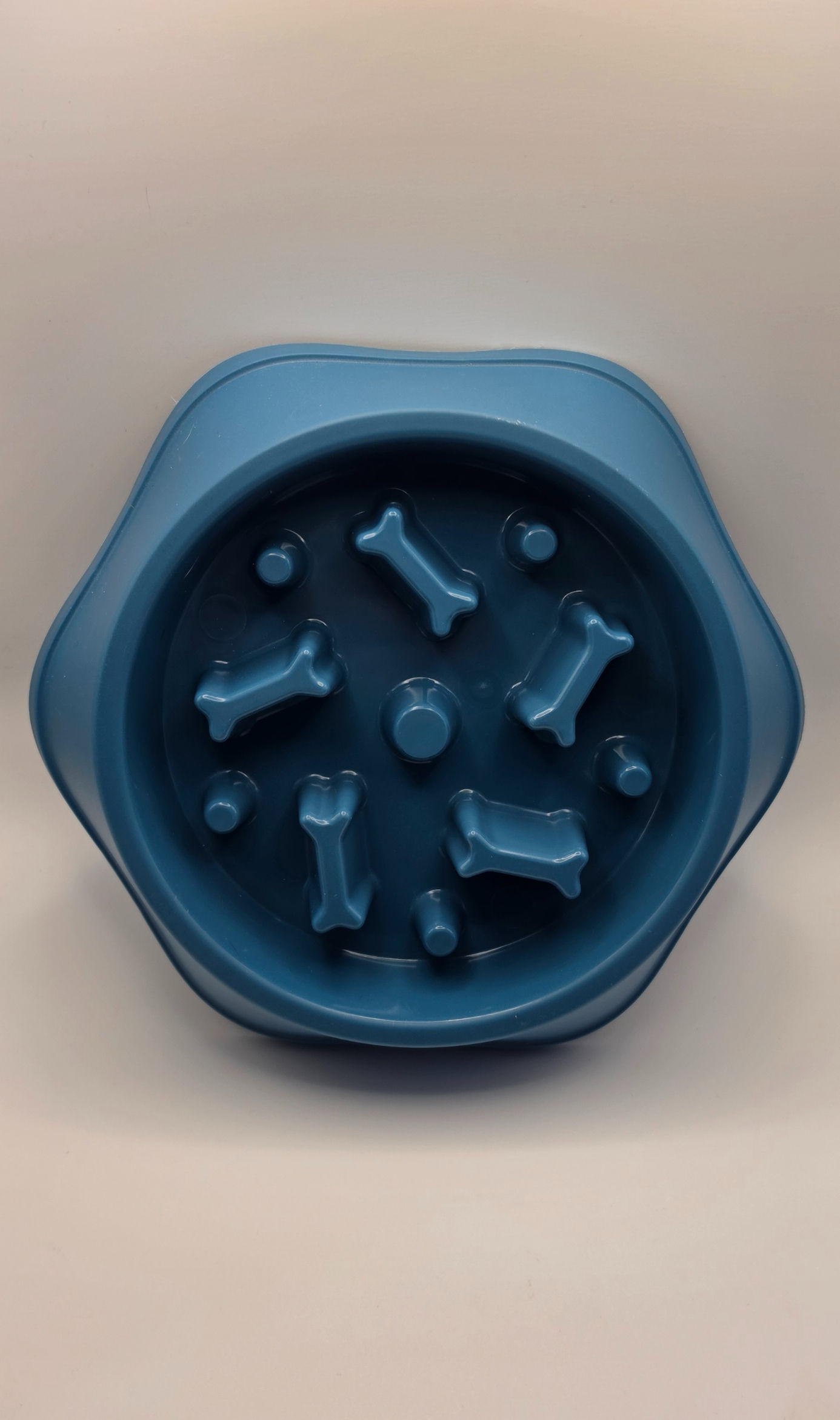 Slow Feeder Bowl