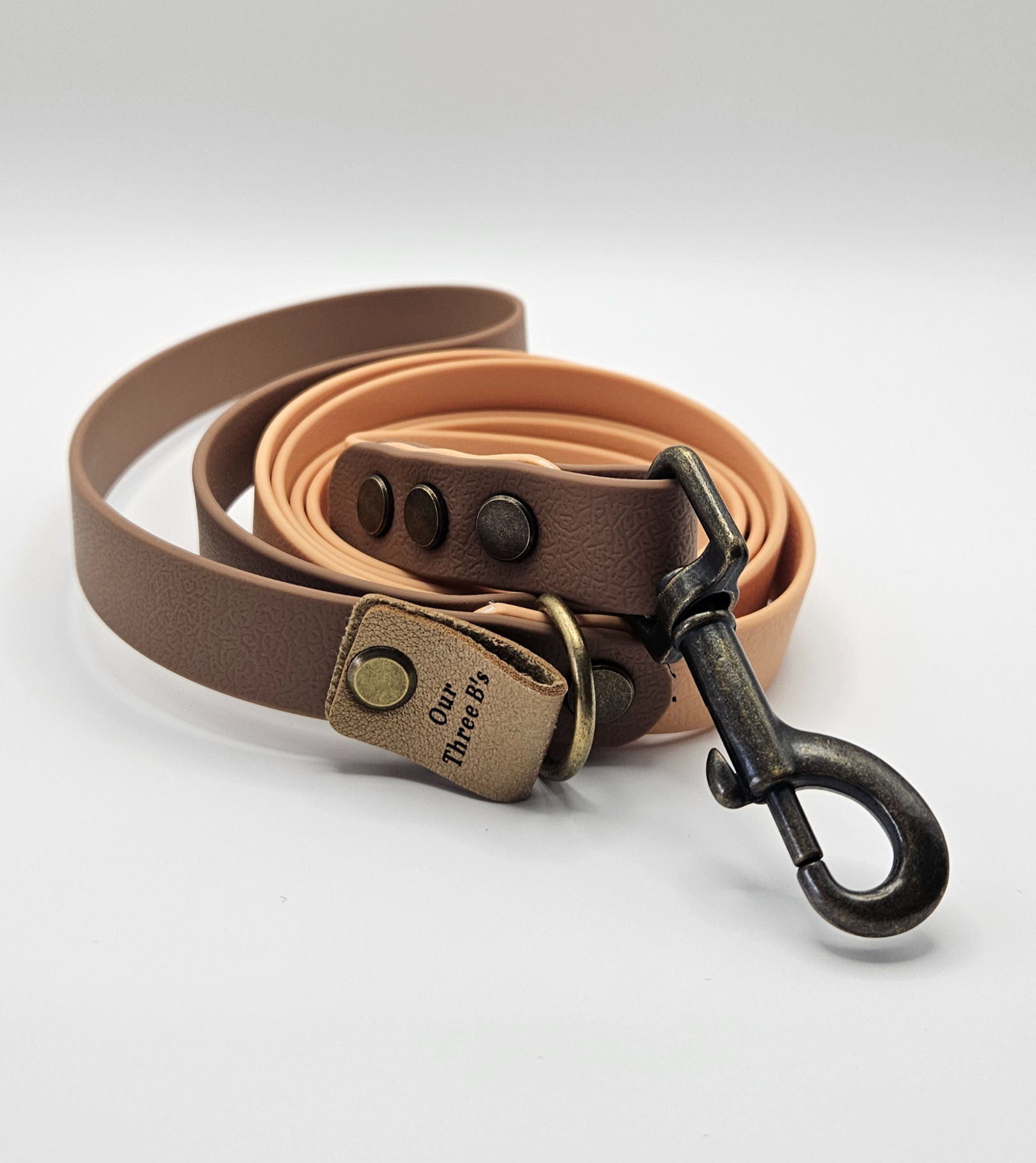 Warm Cocoa & Sand Dog Lead