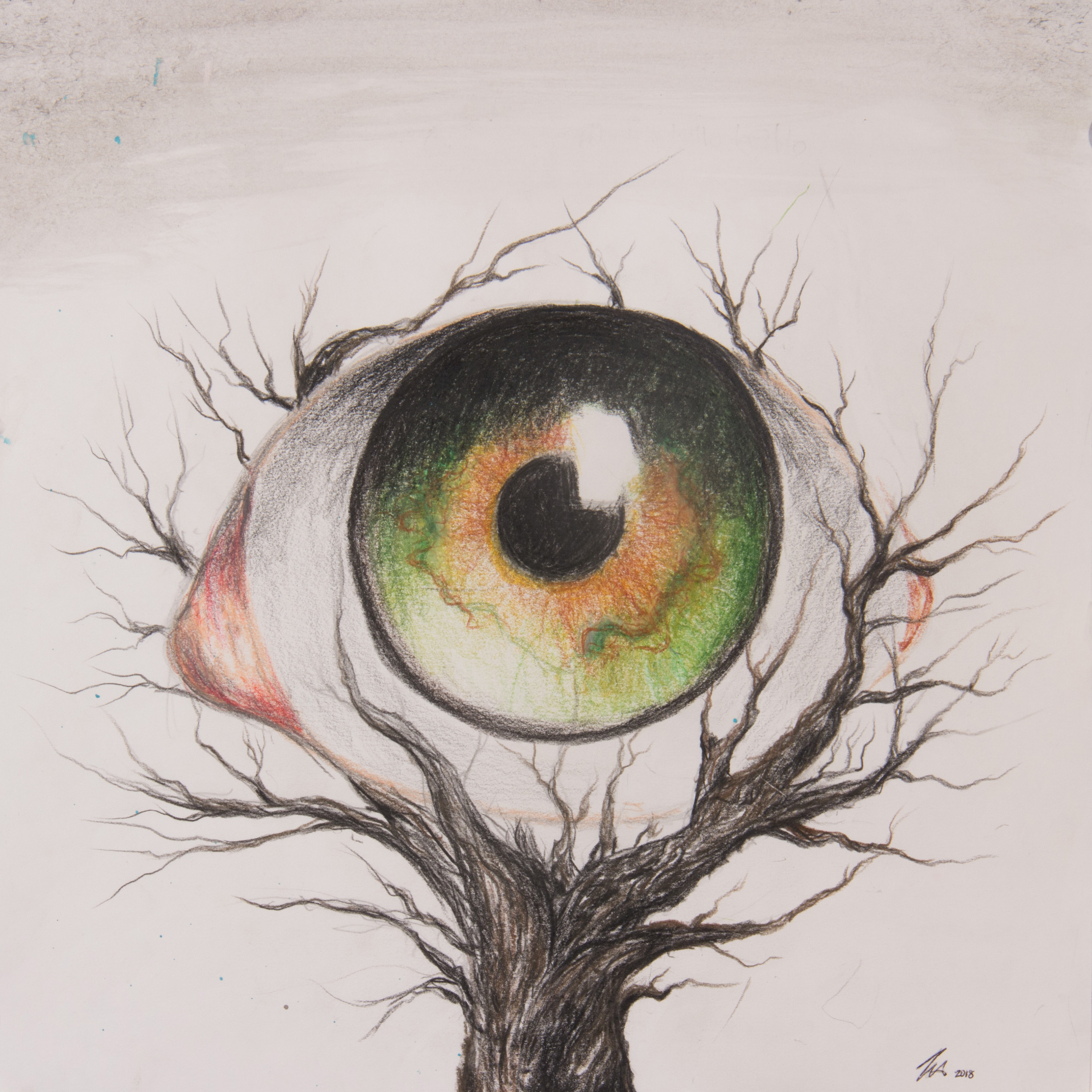 Nature Sees Everything