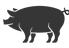 pig-icon-vector-9549680.png
