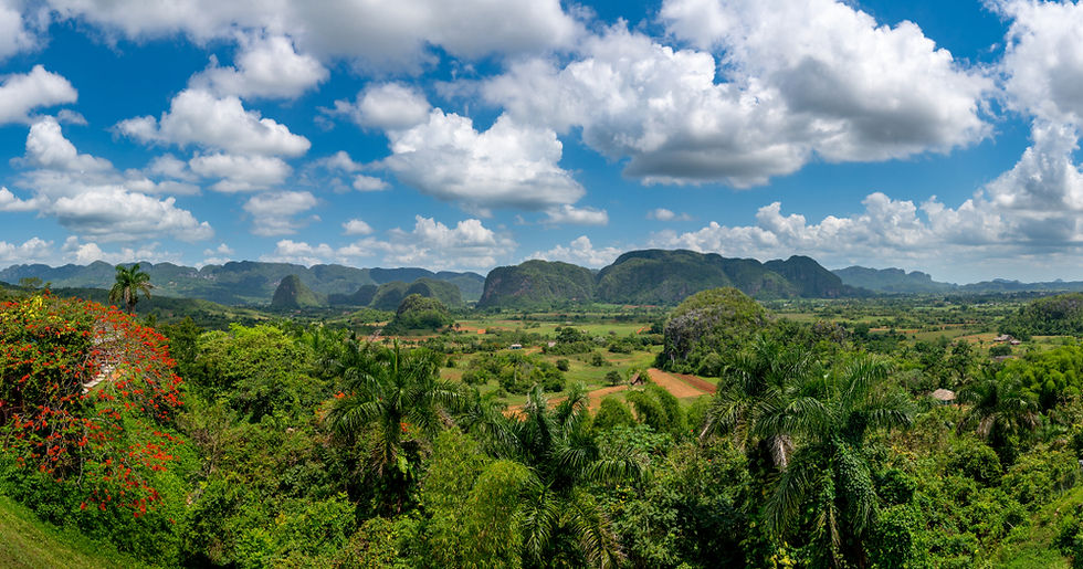 shutterstock_1416705437