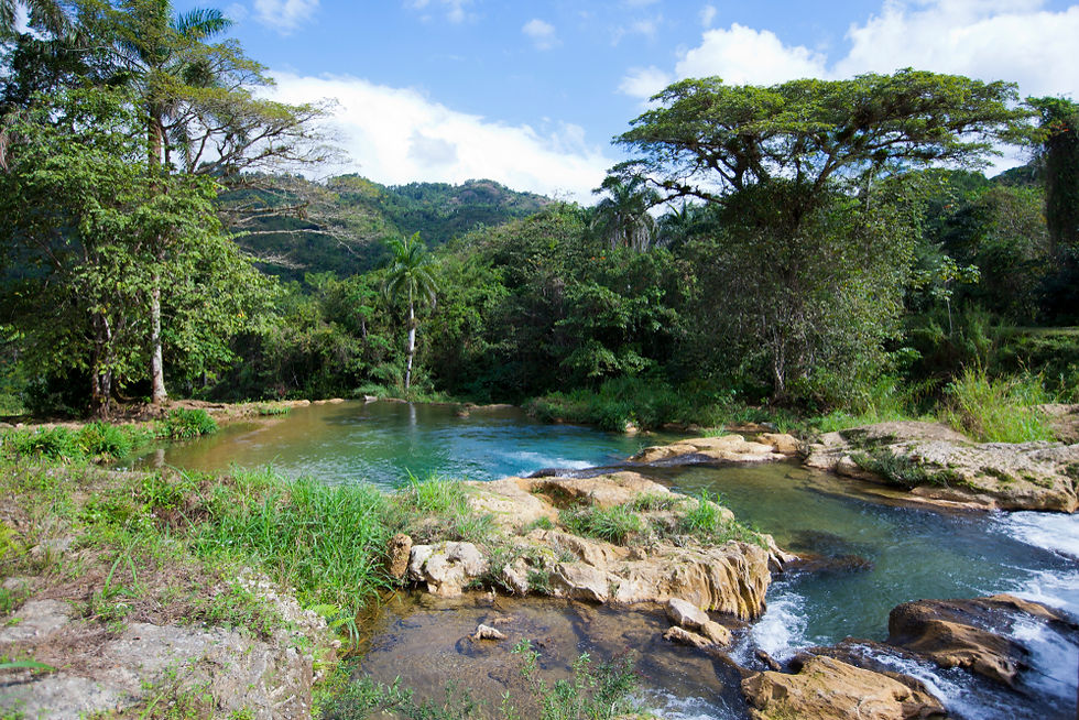 shutterstock_1562157316