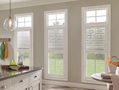 Double shutters 2024