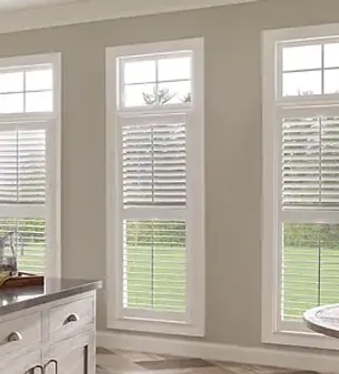 d9624f_d7309bff10c346f8a61c1ae511d679dd~mv2 (1).webp