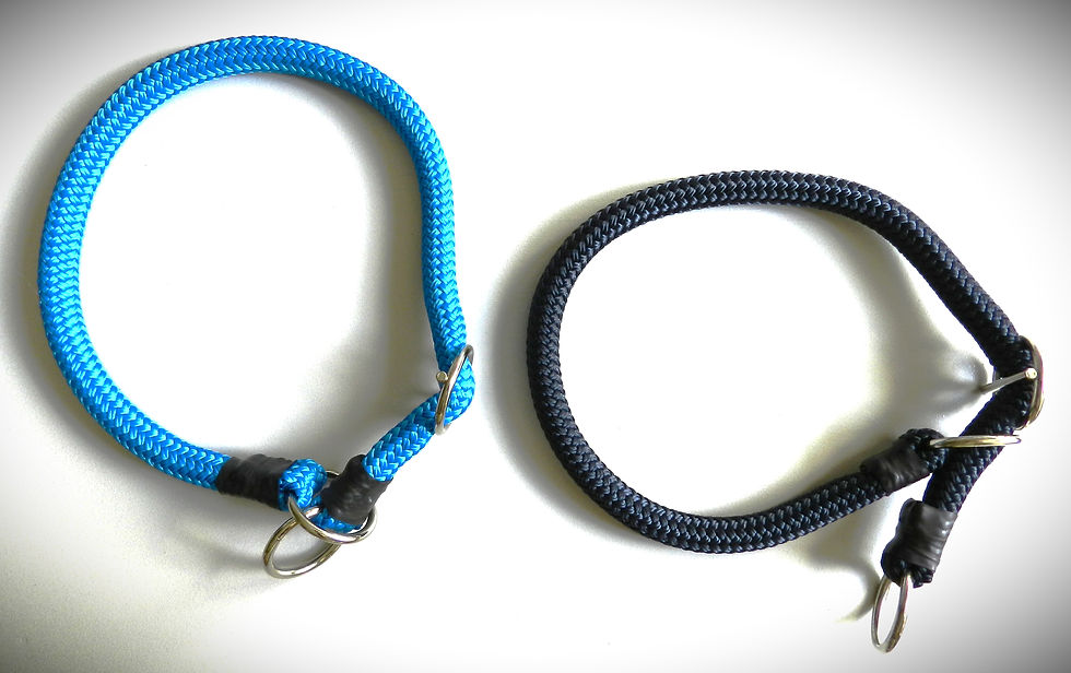 Bleu & marine