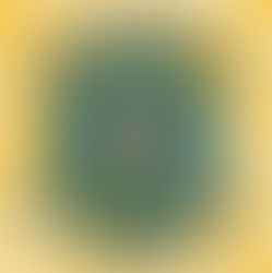 ARKIS PRESS X THE MONTHLY