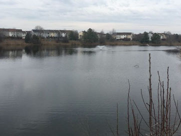 SWMP Settlement Update