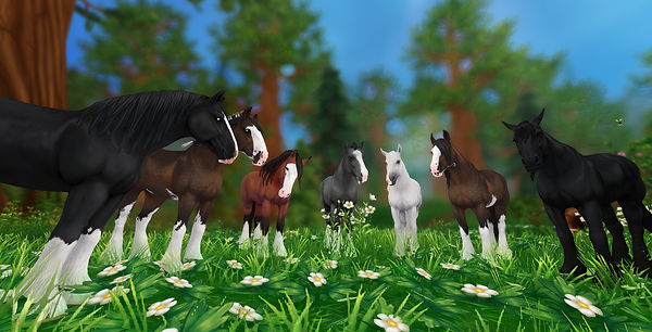 StarStable 2023-02-18 21-54-46_edited.jpg