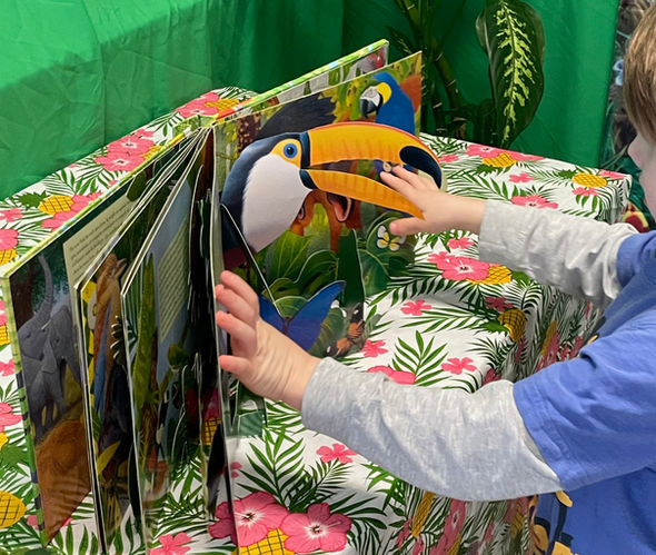 Beautiful pop-up book about the Rainforest with a pop-up Toucan. Magic Circle Preschool Beautiful Book collection.
