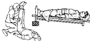 13 LIPOTIMIA.jpg