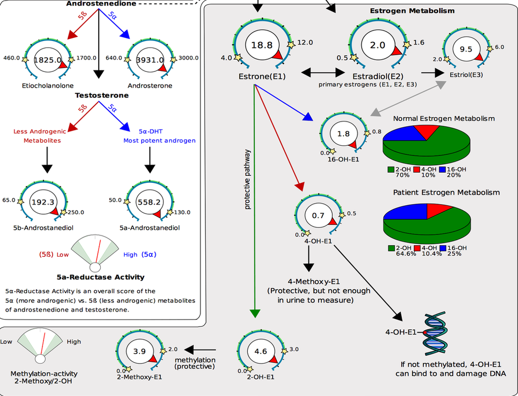 Blog | Dr. Megan Ding | United States