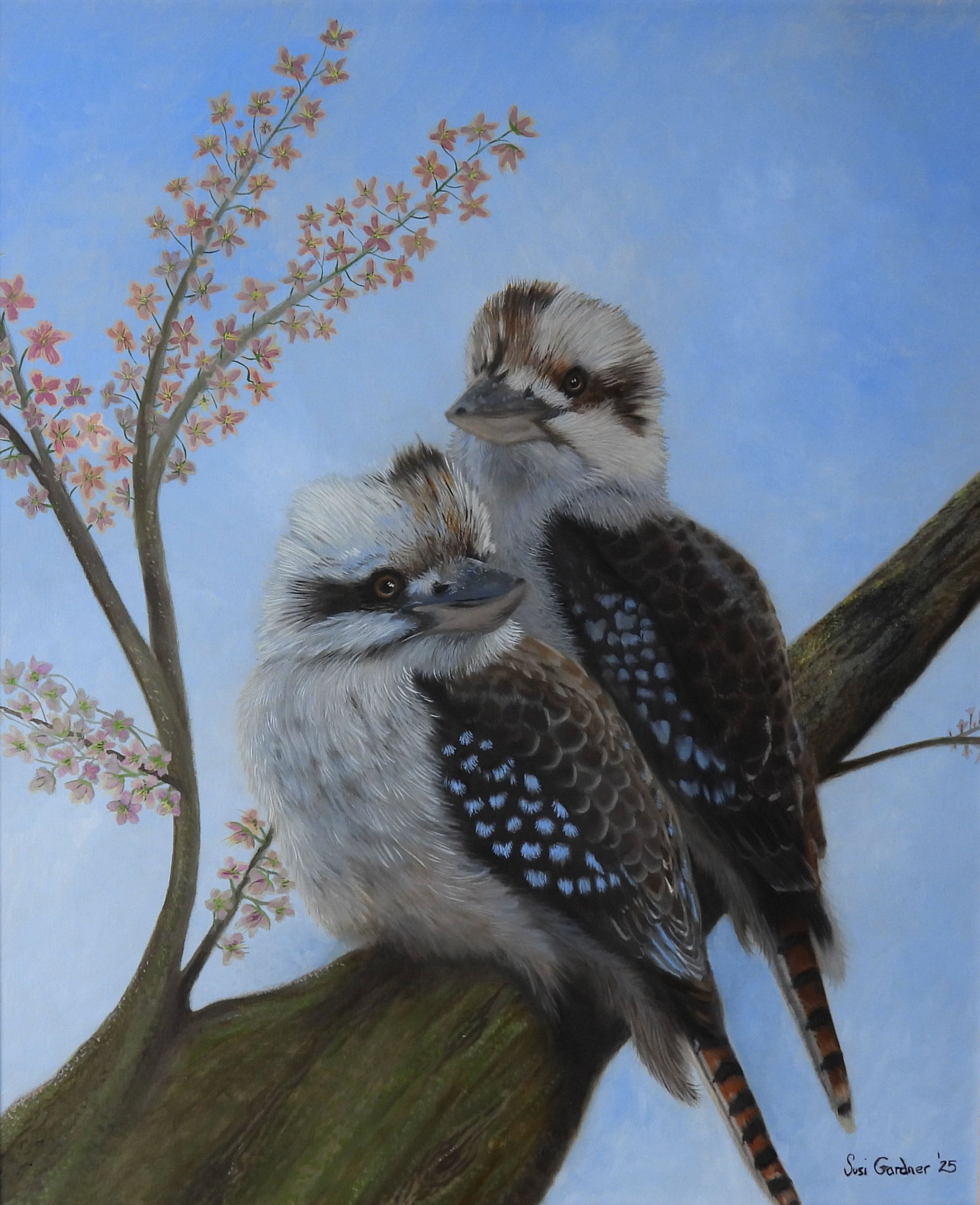 Watchers (Original Kookaburra’s Painting)