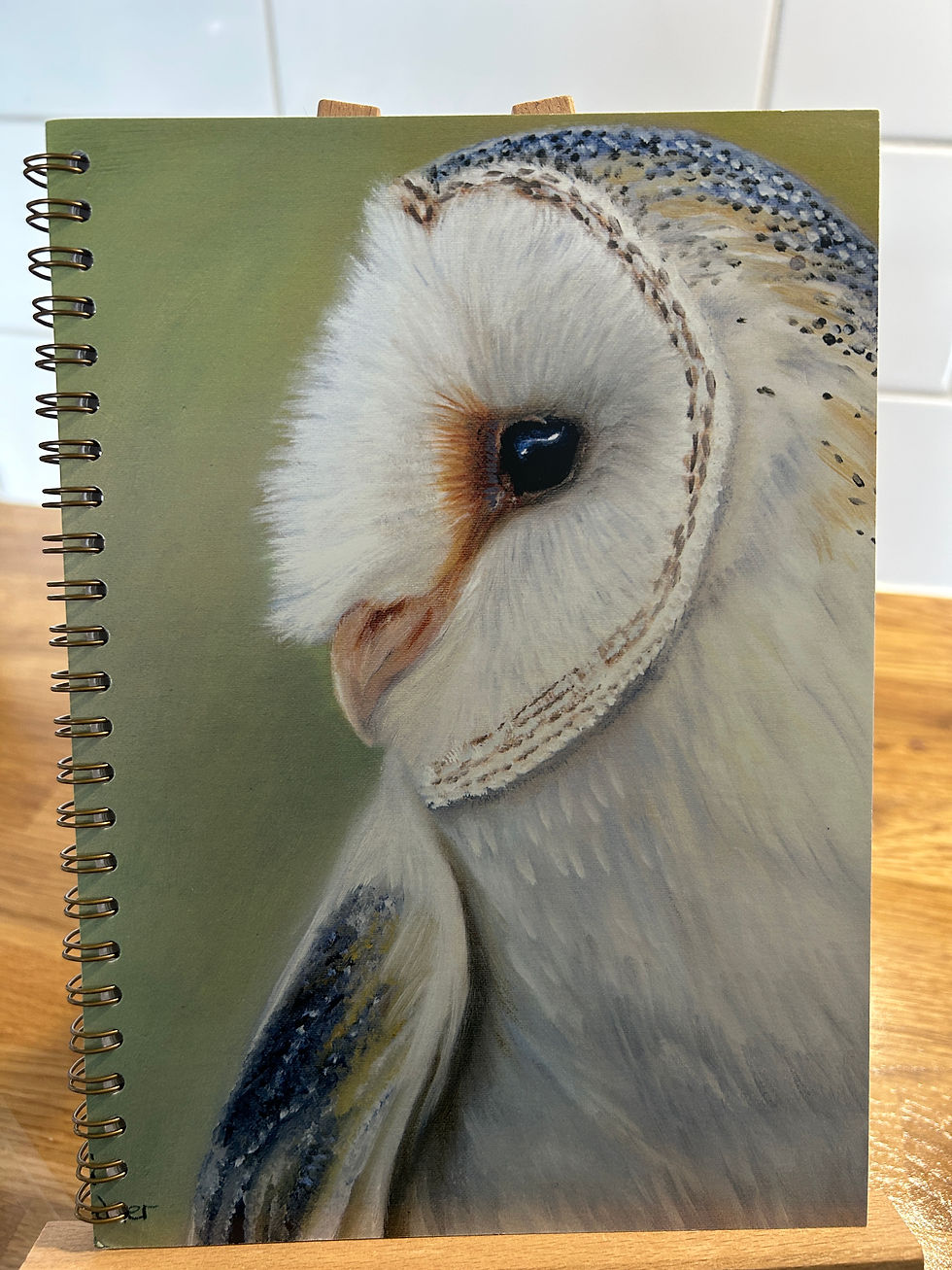 Thumbnail: A5 Sketchbook (various designs excluding Big Cats)