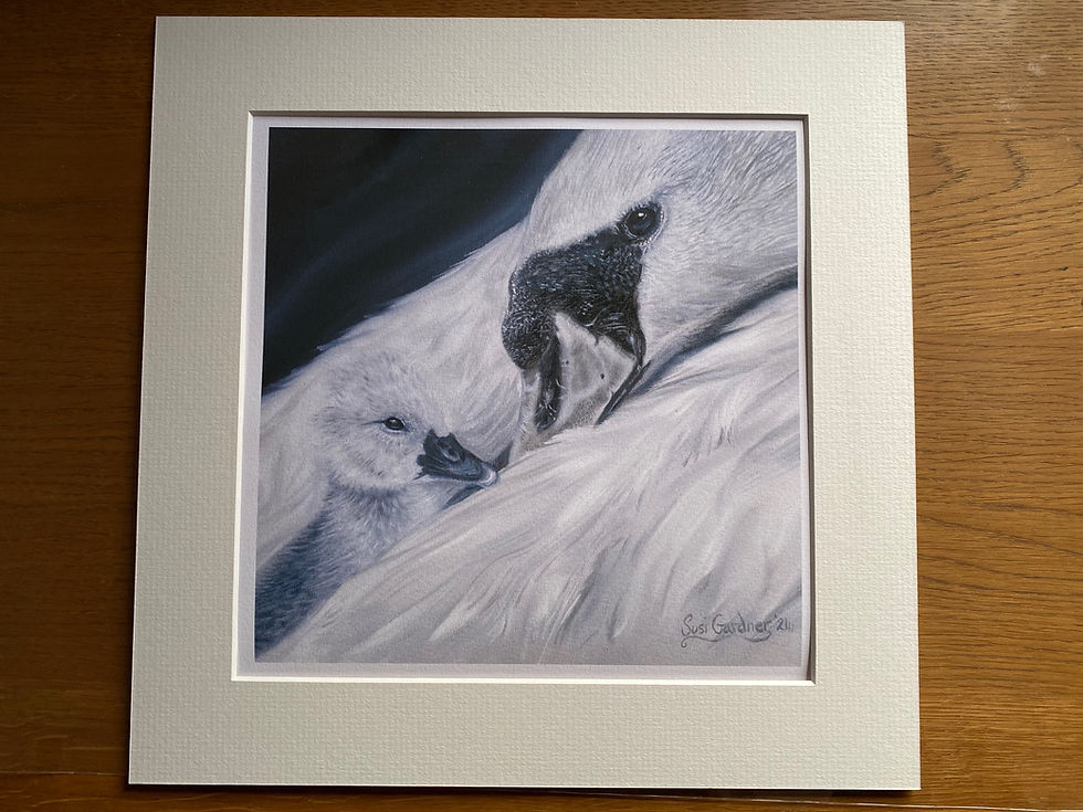 Thumbnail: A Mothers Love (Limited Edition Fine Art Print) SWAN