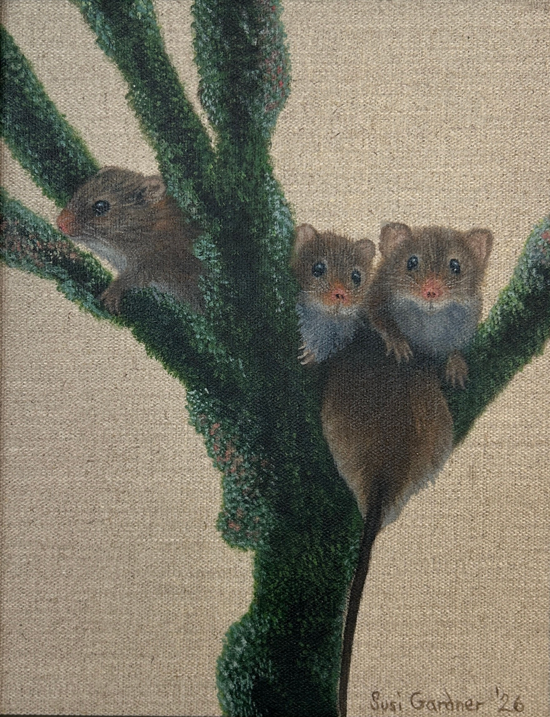*Sold* Scramble amongst the Lichen (Original harvest mice)