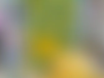 Rezension zu "Ein Alman feiert selten allein"