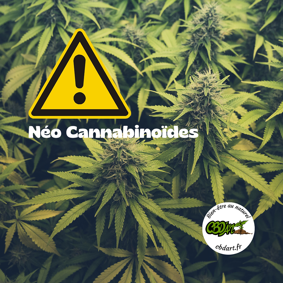 néo-cannabinoïdes pourquoi dire non ?