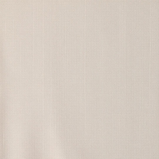 a linen background in a latte color.jpg