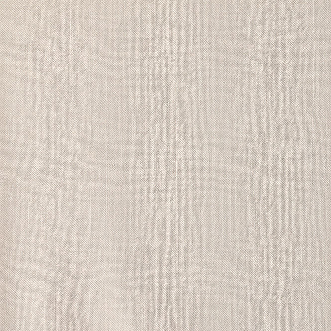 a linen background in a latte color.jpg