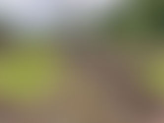 A PROBLEM, THEN ANOTHER, THEN YET ANOTHER