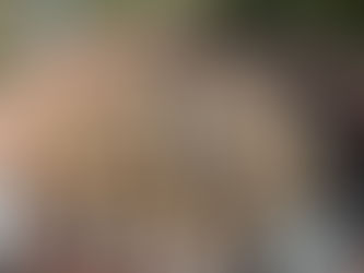 BUILDING THE NEW MILL ROOF FRAME