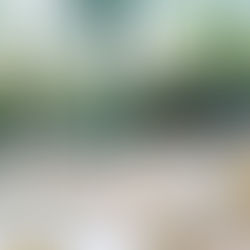 Mariage en extérieur : Tout ce qu'il faut savoir. 