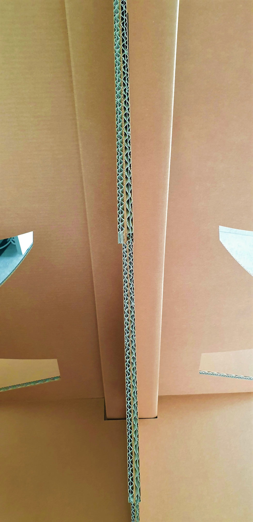 Miniatura: Tipo di cartone