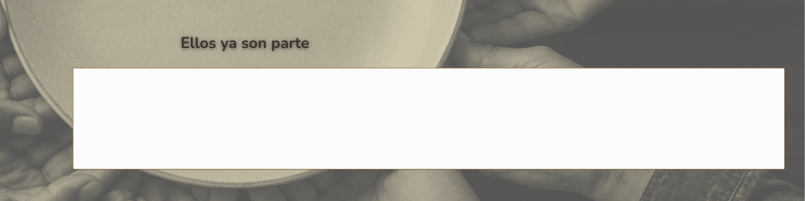 ZOCALO MARCAS WEB SOSTENER (1).gif
