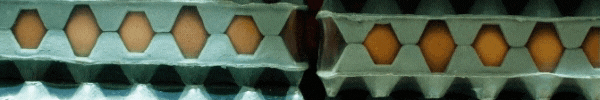 destacado enero.gif