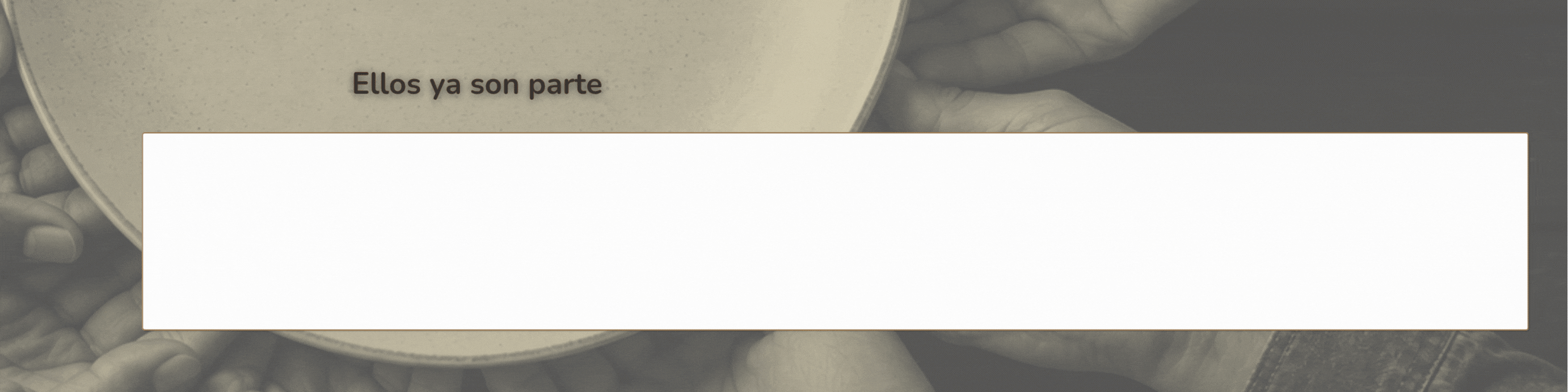 ZOCALO MARCAS WEB SOSTENER (2).gif