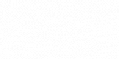16_10.gif