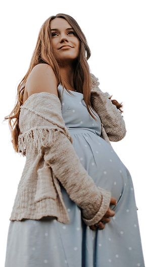 Haven website header(4).png